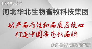 華北生物 聚焦生物技術(shù)開發(fā)，守護(hù)健康——病毒性疾病的防治原則與前沿實(shí)踐