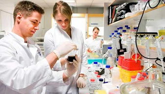 生物技術(shù)開發(fā) 光環(huán)背后的現(xiàn)實(shí)挑戰(zhàn)與未來之路